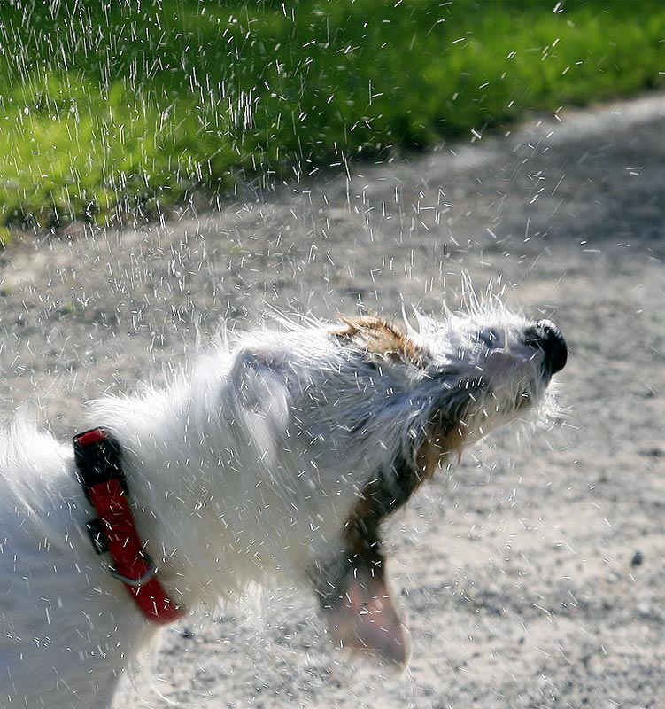 Nach dem Baden