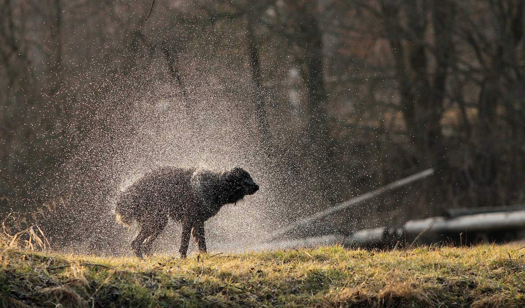 Nach dem Baden