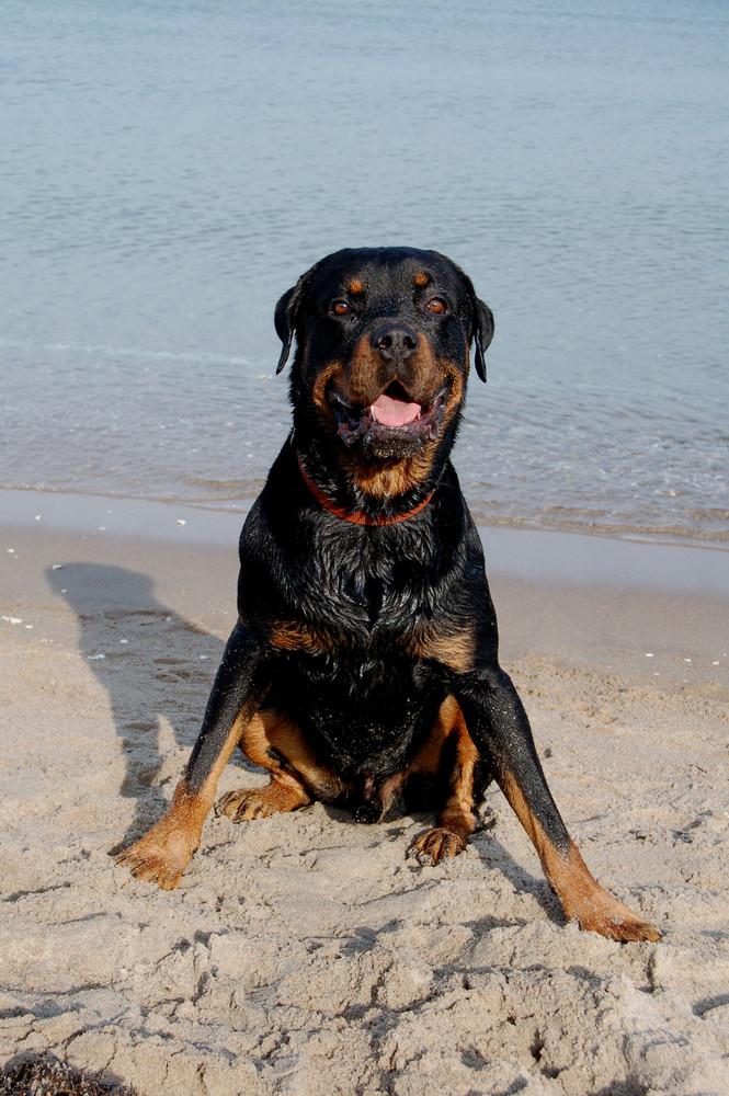 Nach dem Baden-Foto!