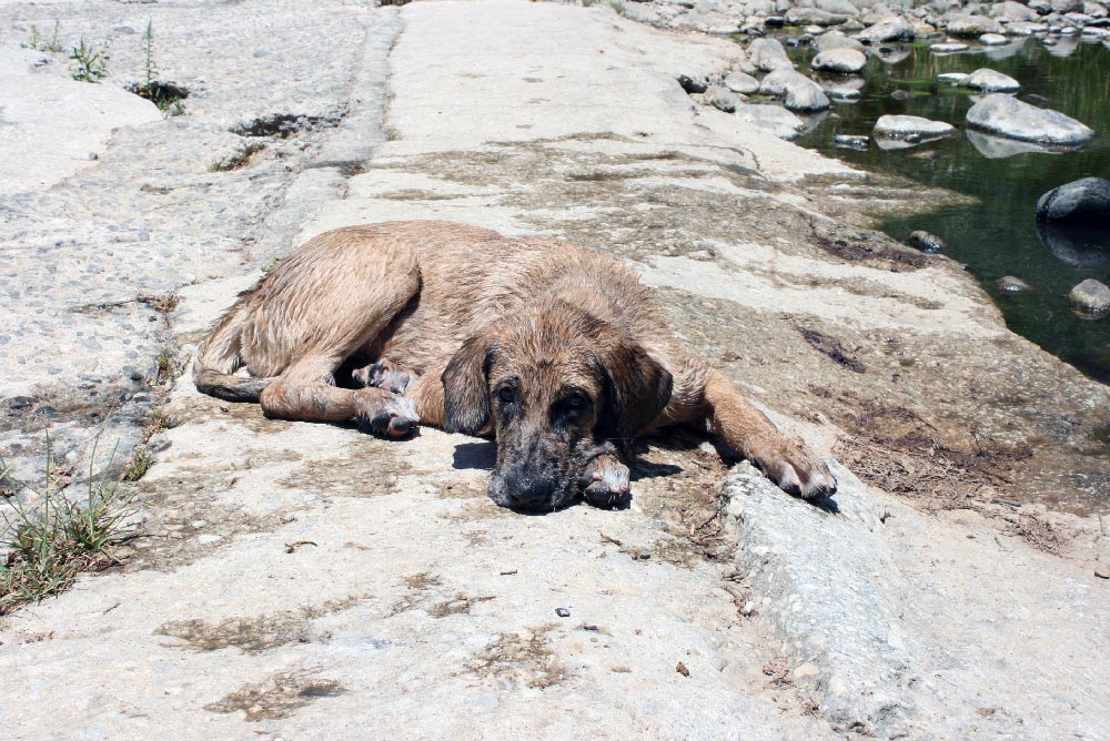 nach dem Baden ist man muede