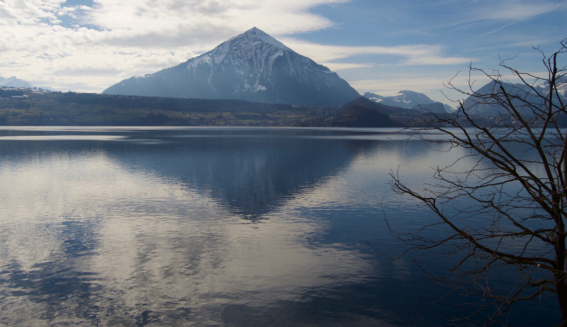 nach dem Baumschnitt