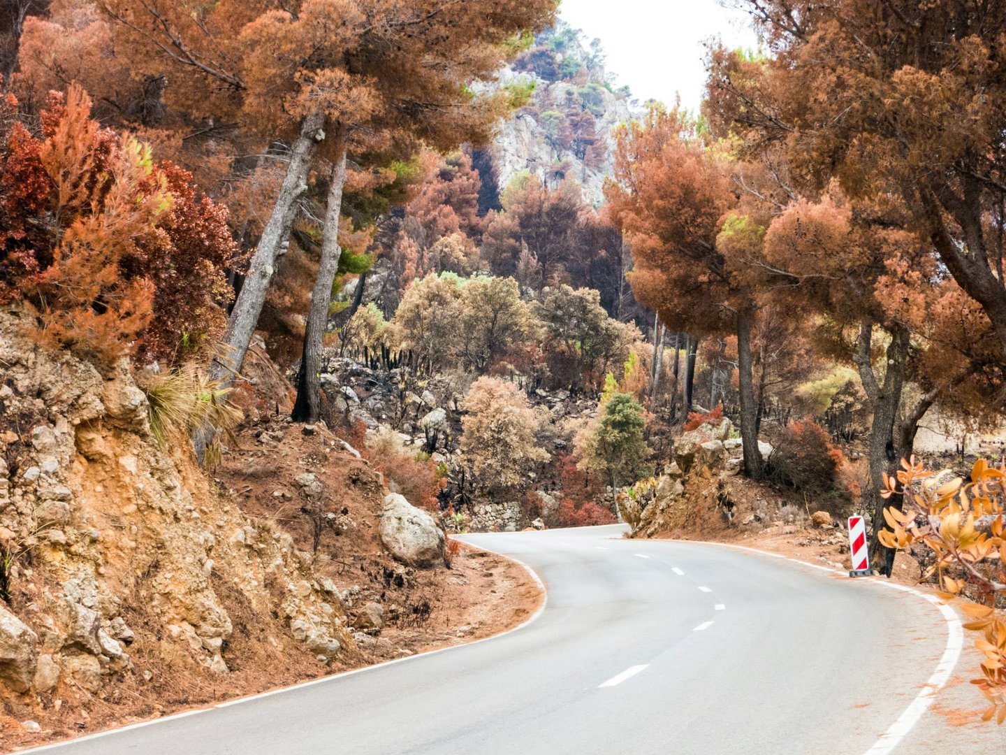 Nach dem Brand - auf der Strasse nach Palma