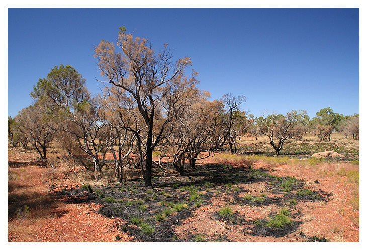 Nach dem Bushfire