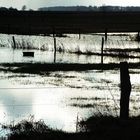 Nach dem Dauerregen