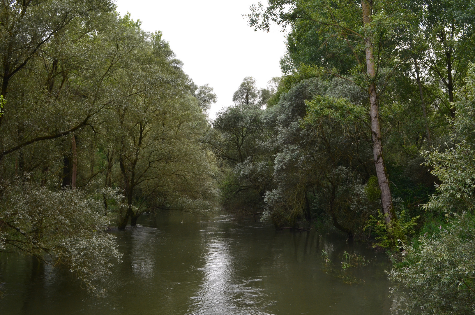 Nach dem Dauerregen