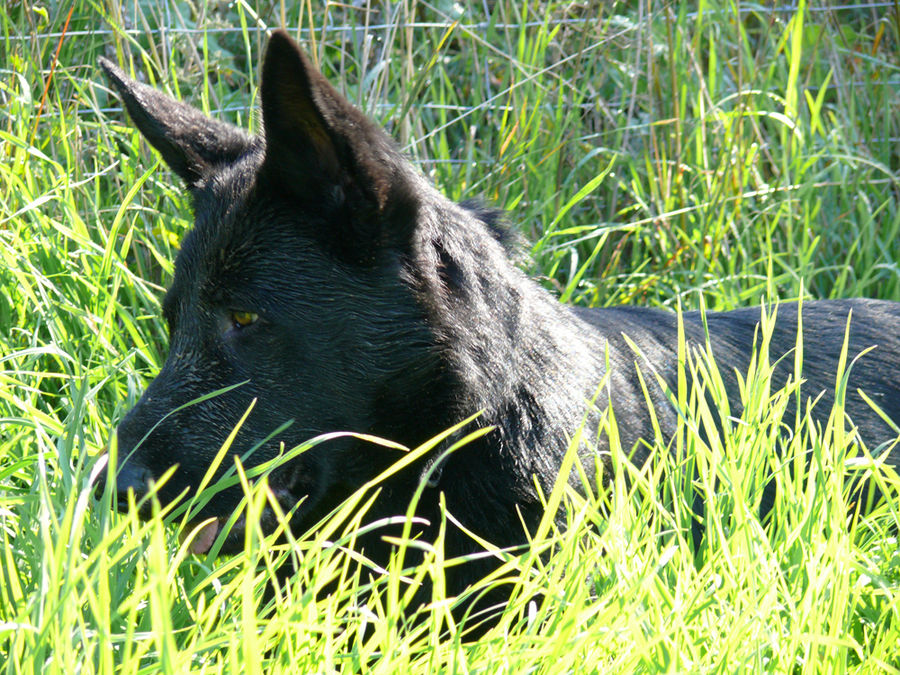 Nach dem Dreck-ab in Versteck