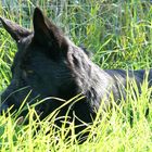 Nach dem Dreck-ab in Versteck