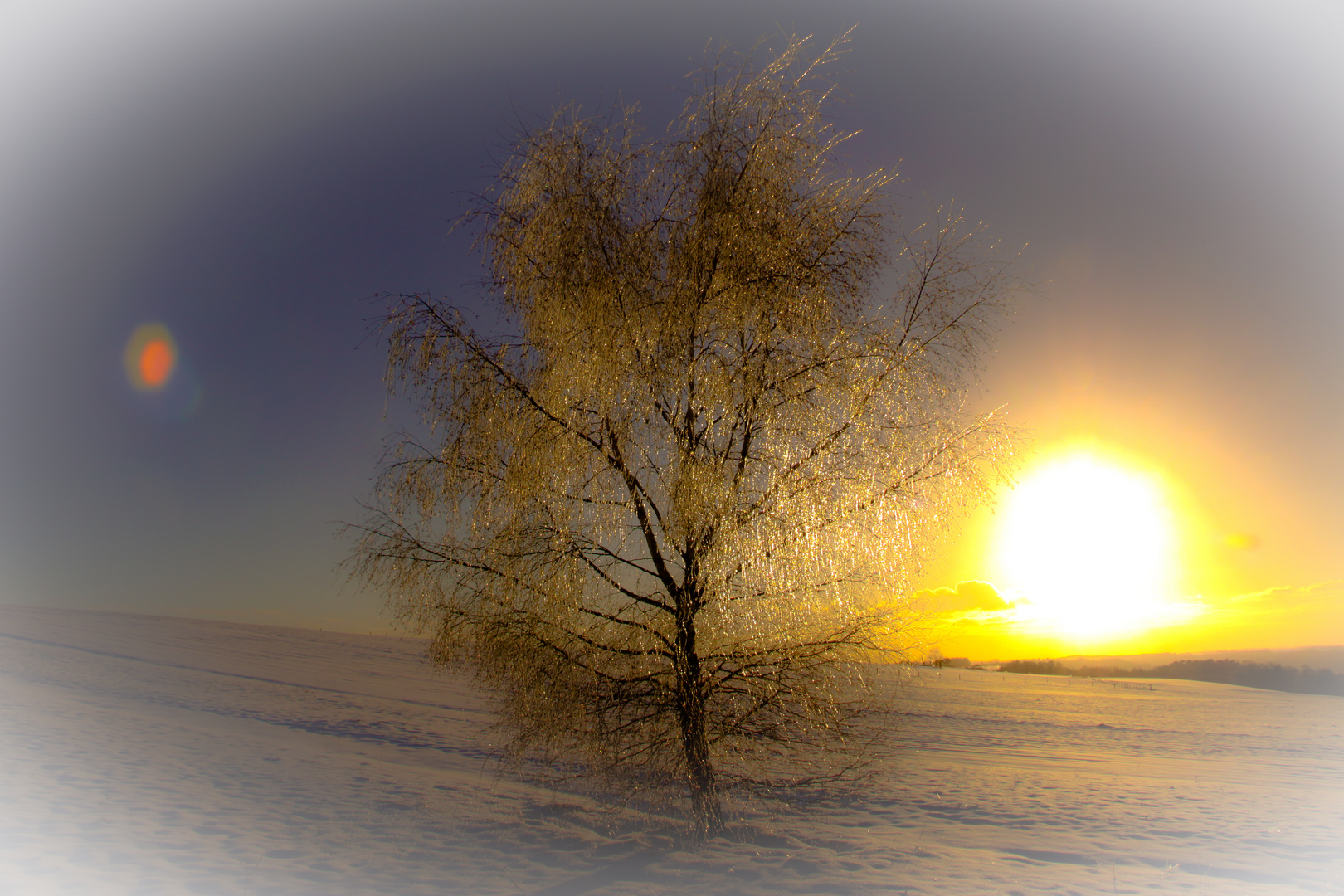 Nach dem Eisregen