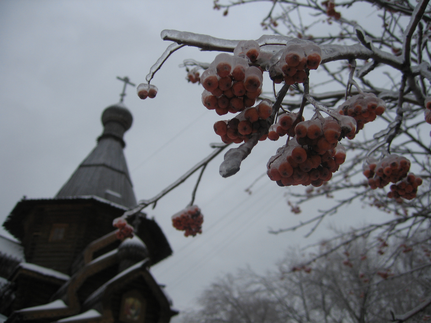 Nach dem Eisregen