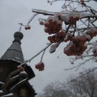 Nach dem Eisregen
