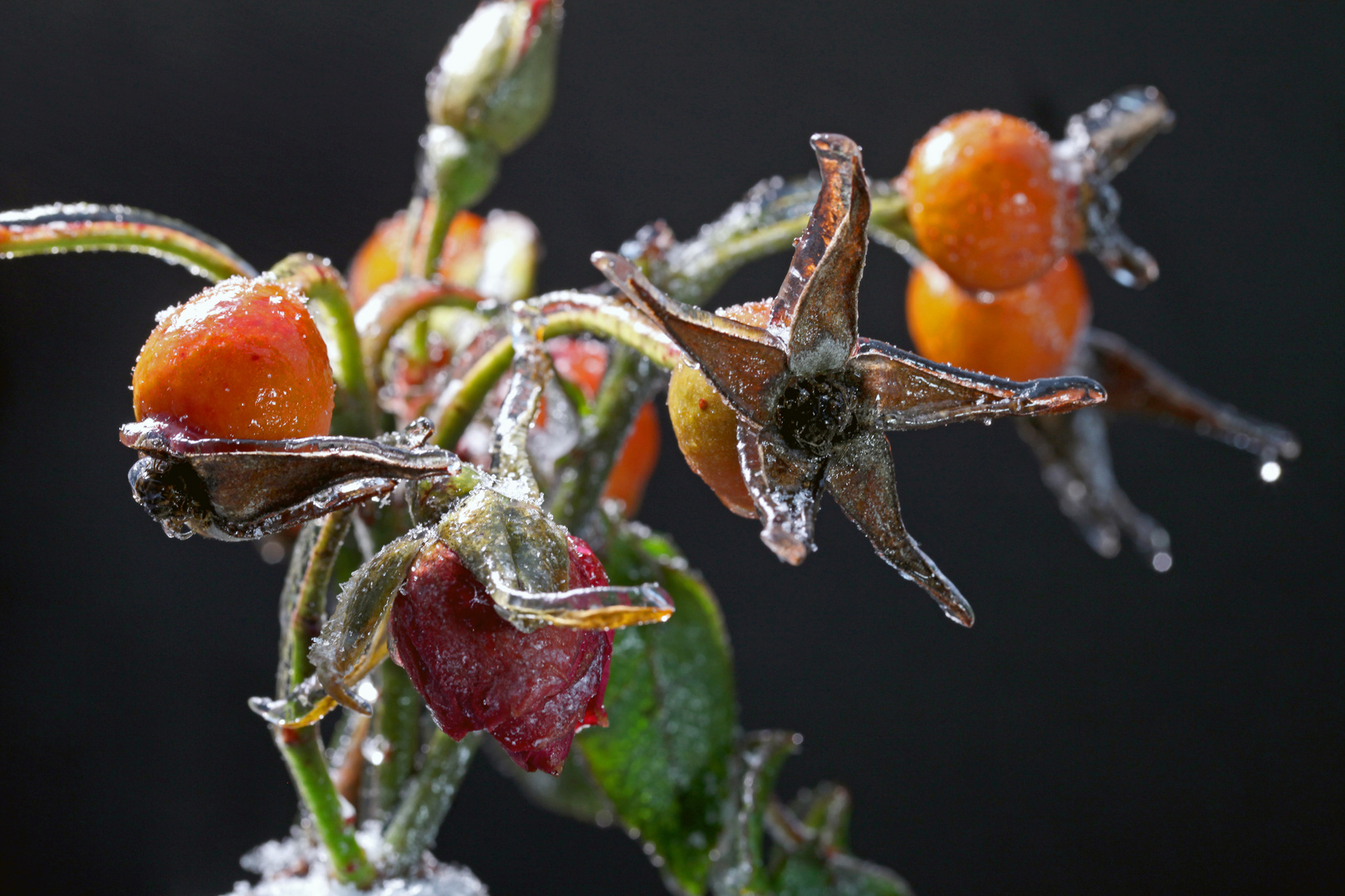 nach dem Eisregen