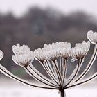 Nach dem Eisregen II