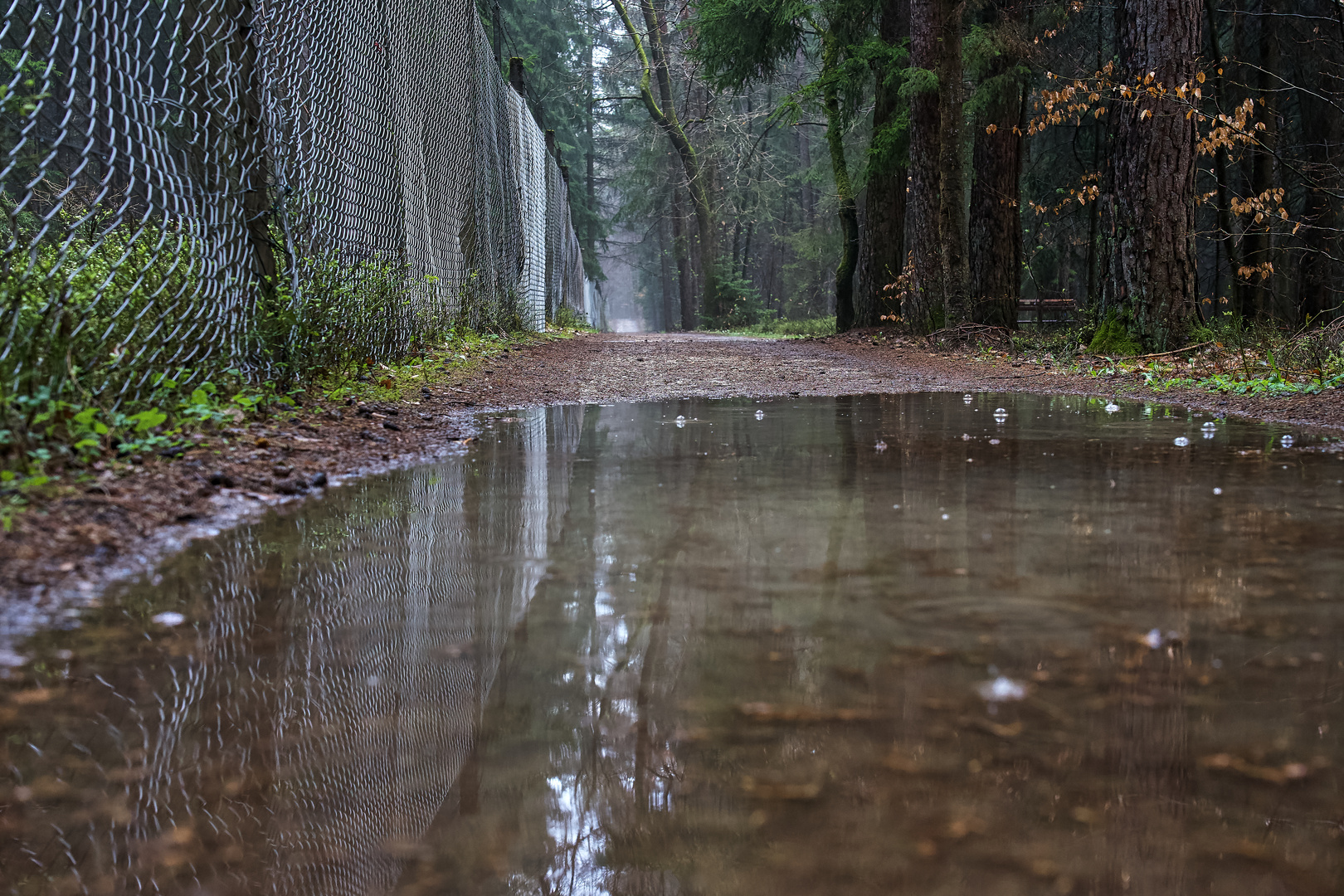 Nach dem ersten Gewitter