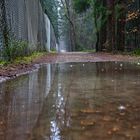 Nach dem ersten Gewitter