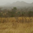 Nach dem ersten Regen seit langem in Afrika