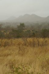 Nach dem ersten Regen seit langem in Afrika