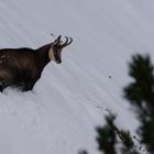 Nach dem ersten Schnee