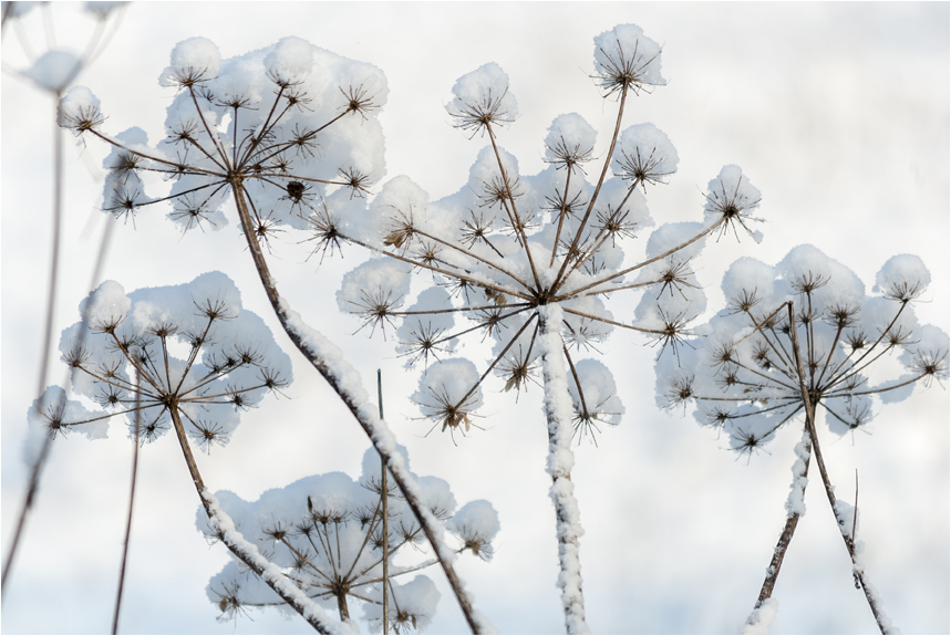 nach dem ersten Schnee