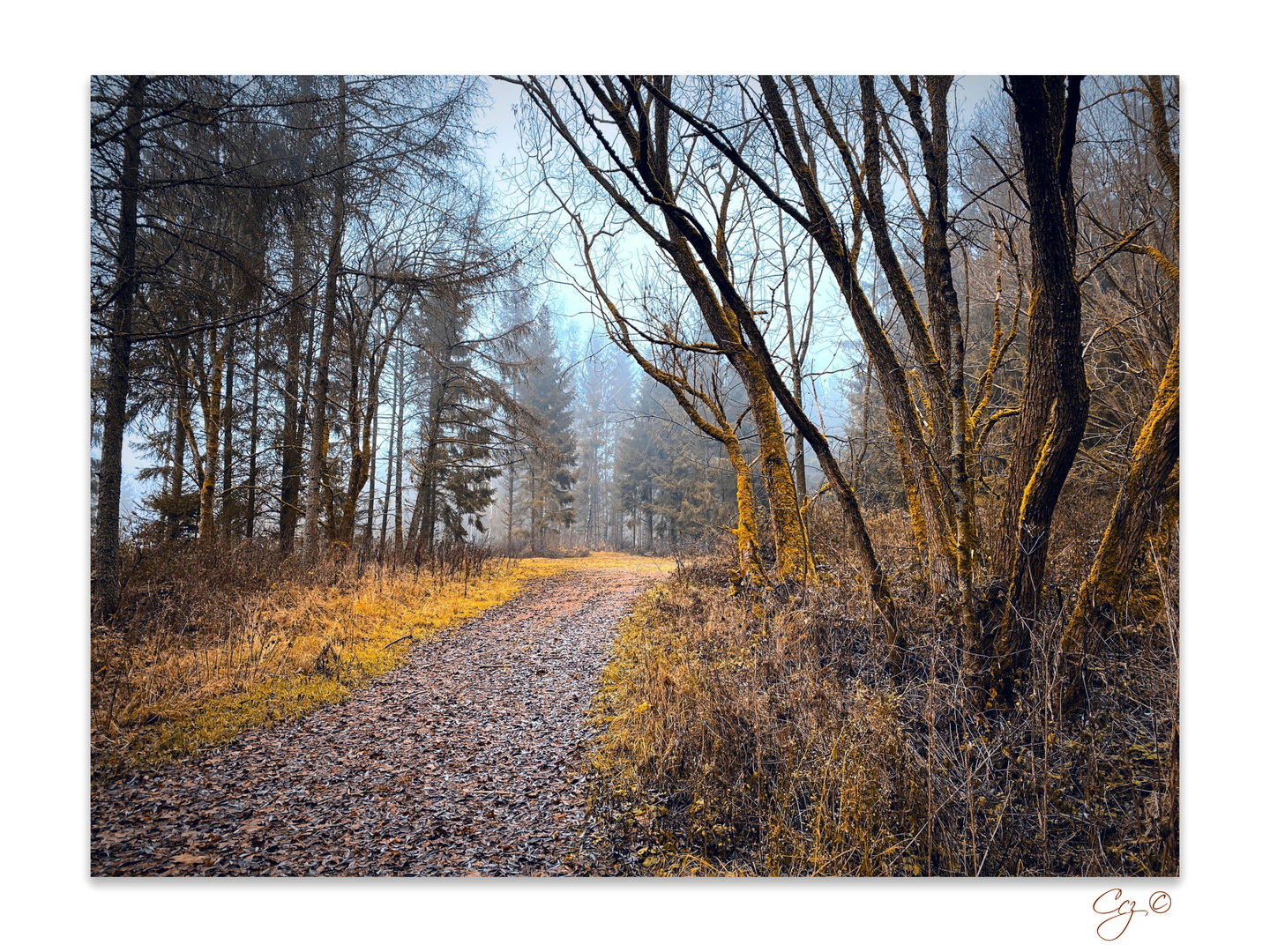 nach dem ersten Schnee