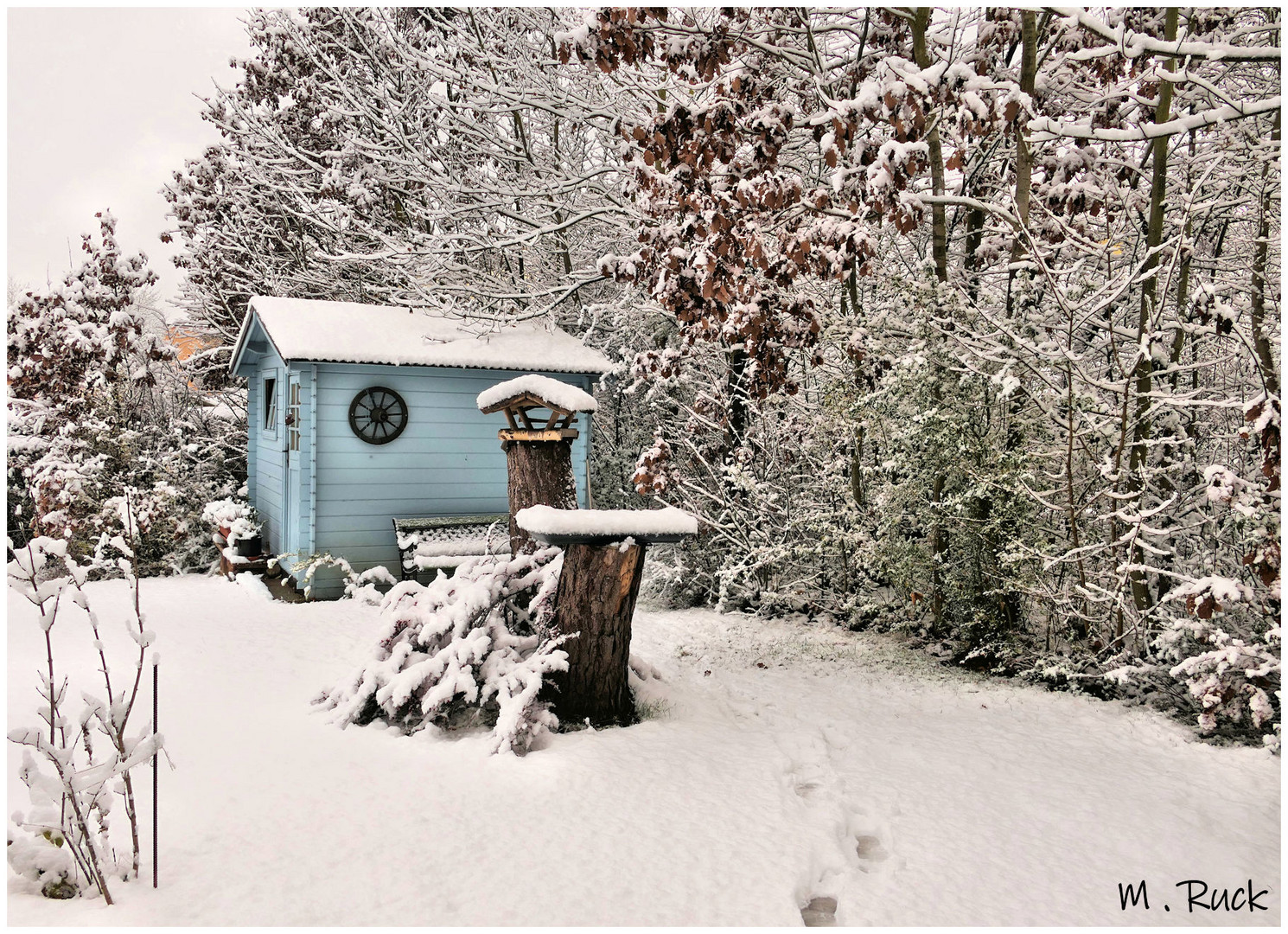 Nach dem ersten Schneefall in der Nacht 