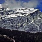 Nach dem ersten Schneeschauer