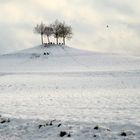 Nach dem ersten Wintereinbruch