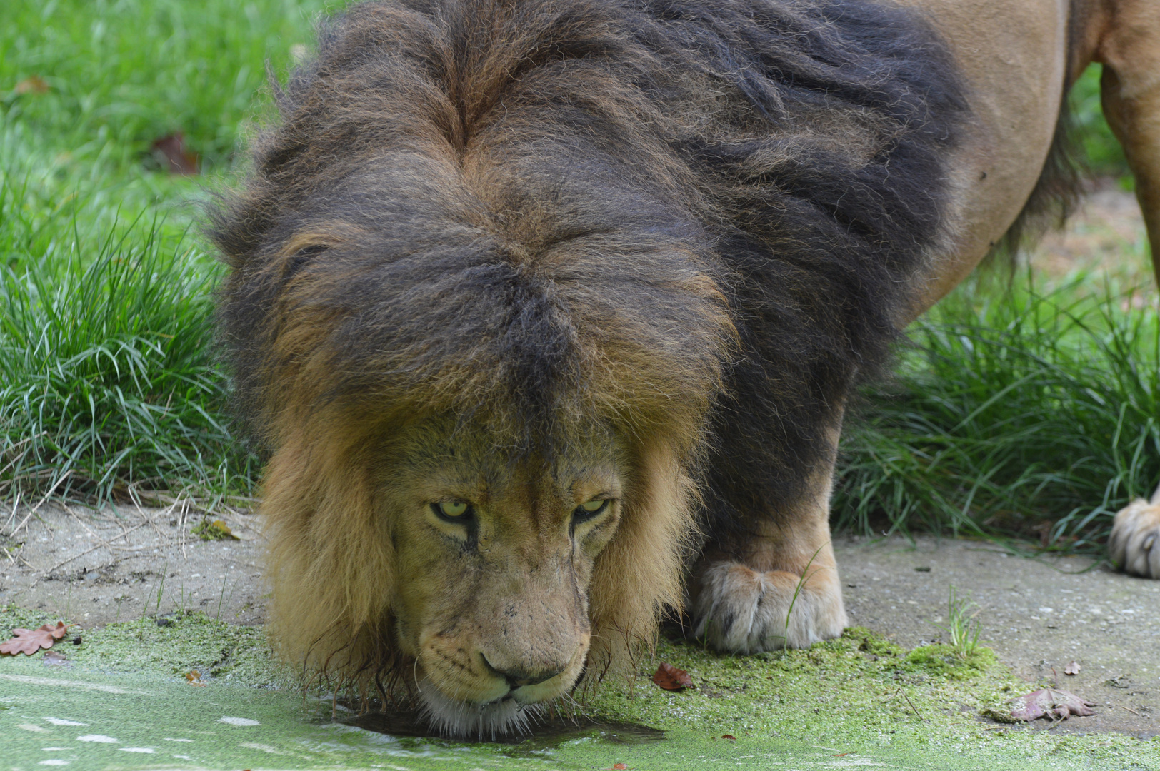 Nach dem Essen .....