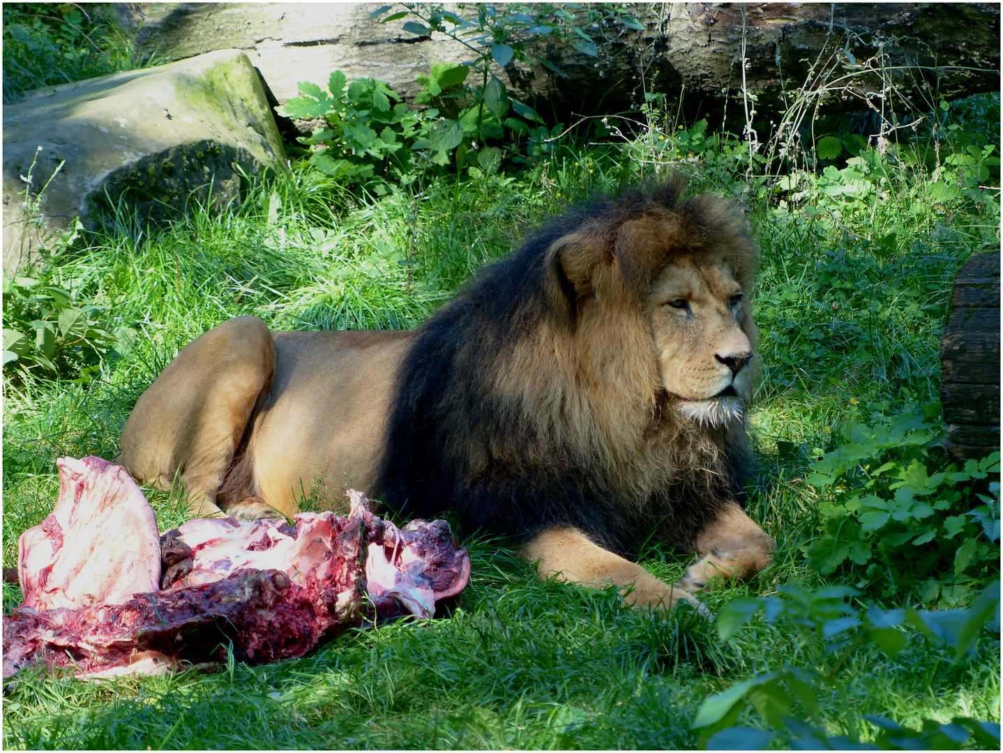 ... nach dem Essen sollst du ruh'n ...