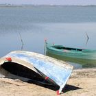 nach dem Fang - am Étang de Canet-Saint-Nazaire