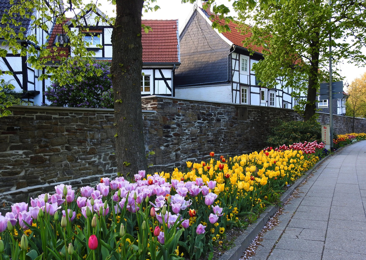 Nach dem fc-Treffen in Hattingen am 22.4.2017 (2)...