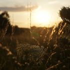 Nach dem Feierabend kurz mal eben Fotos machen und mit 350 neuen zurück kommen.