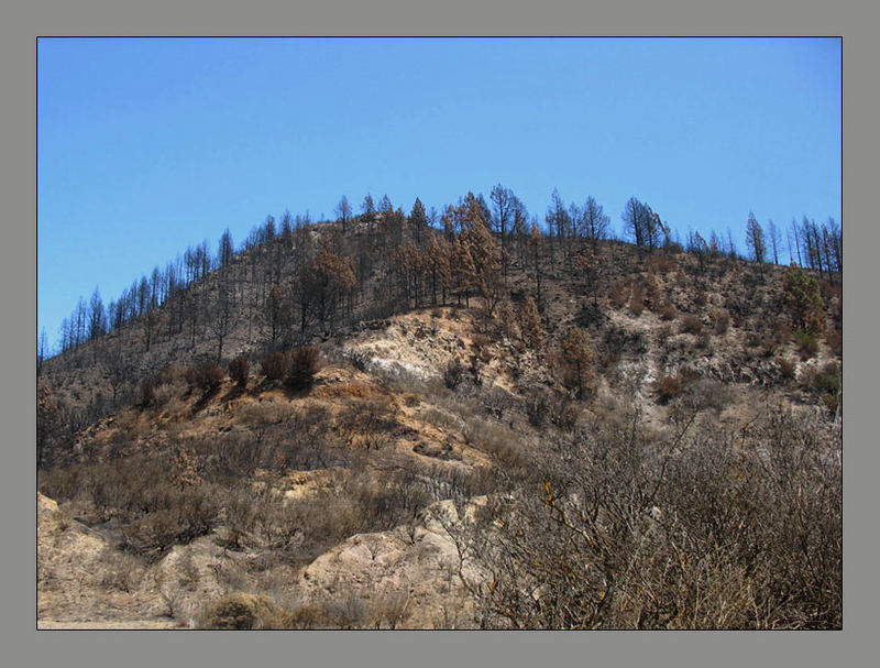 ...nach dem Feuer in Los Llanos...