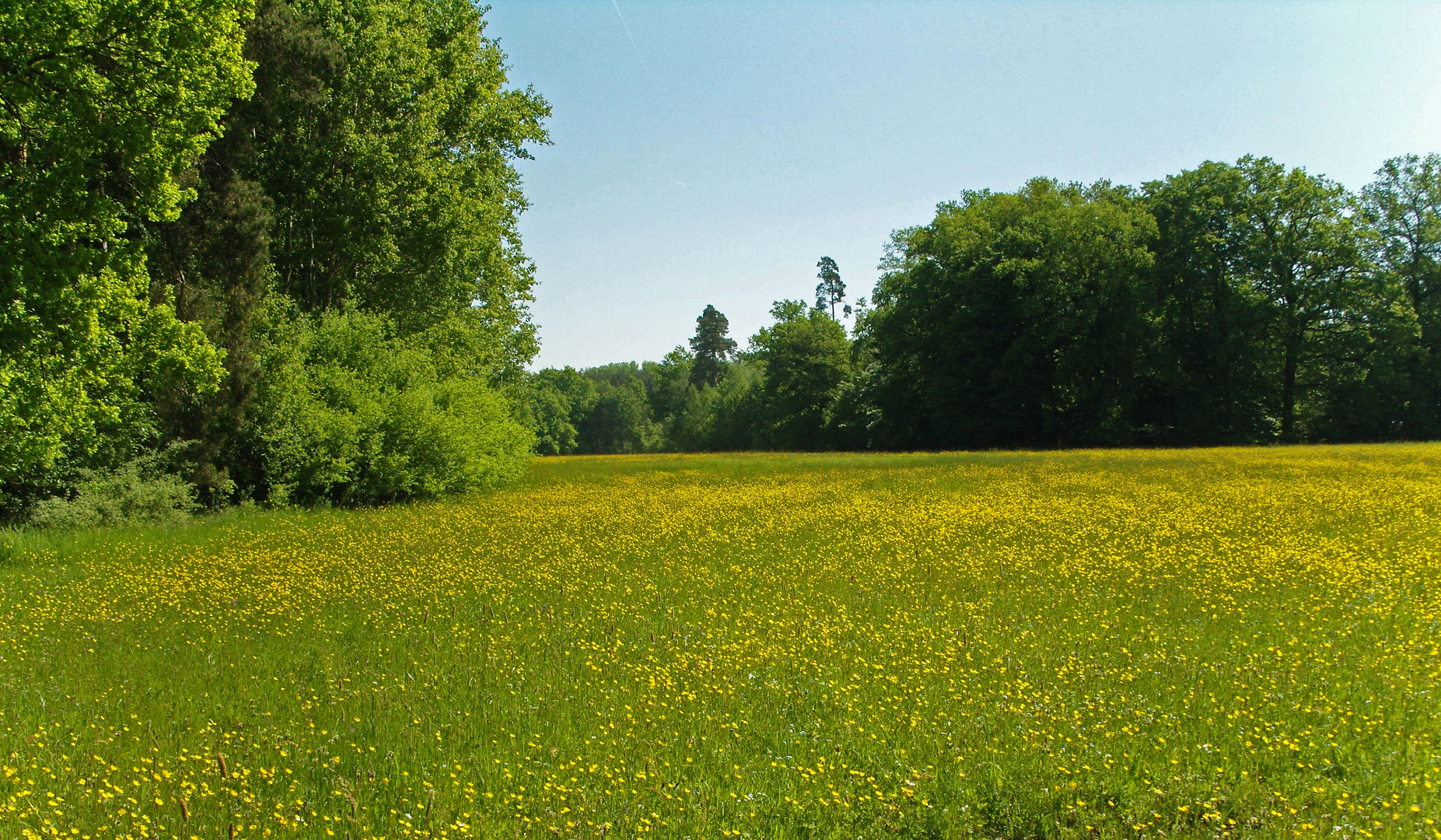 Nach dem gestrigen Tag... Foto & Bild natur, landschaft, wiesen
