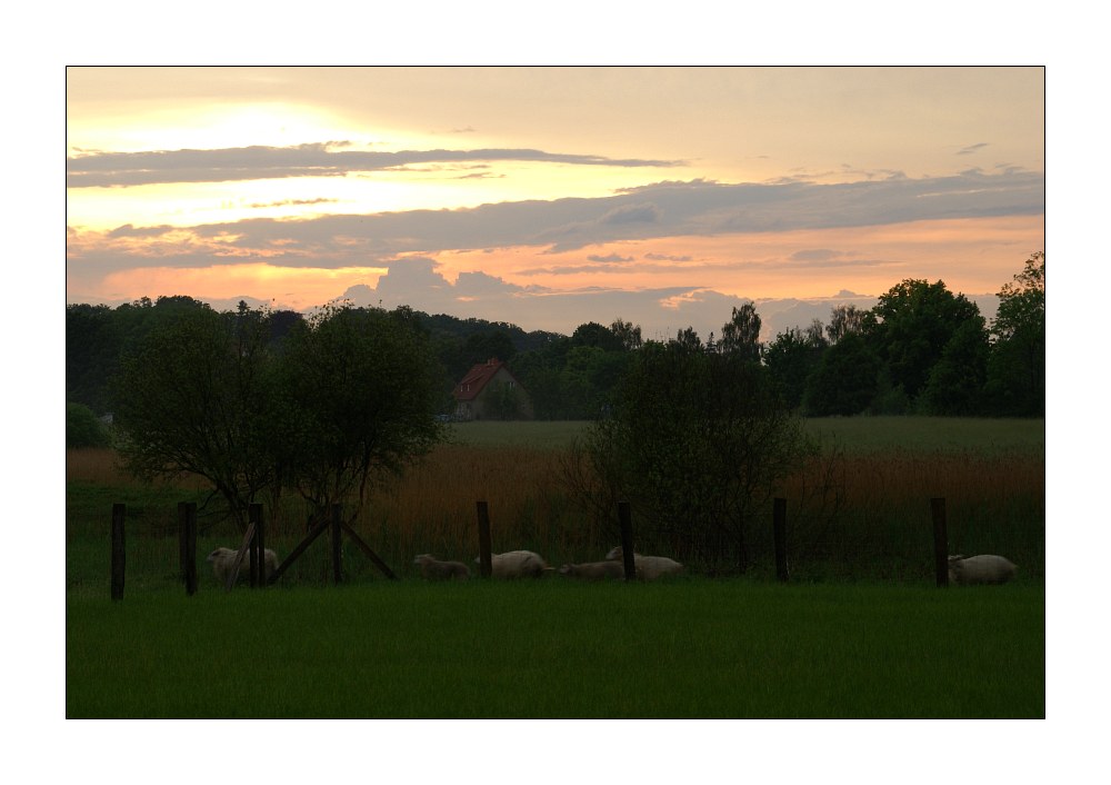 Nach dem Gewitter