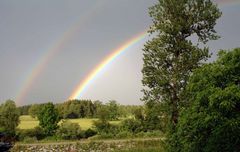 nach dem Gewitter