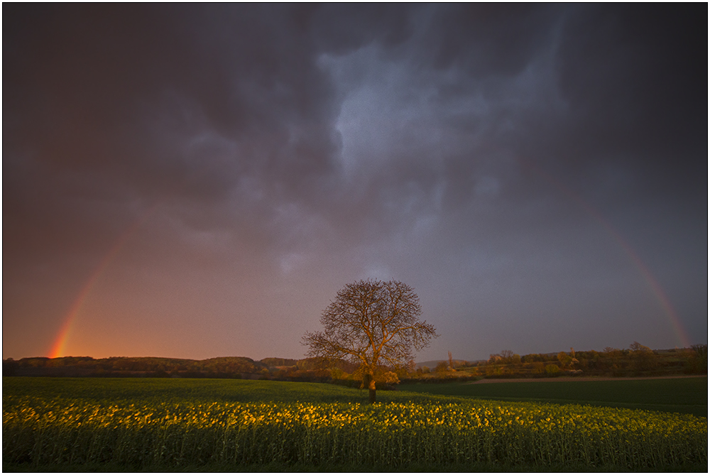 Nach dem Gewitter