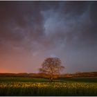 Nach dem Gewitter