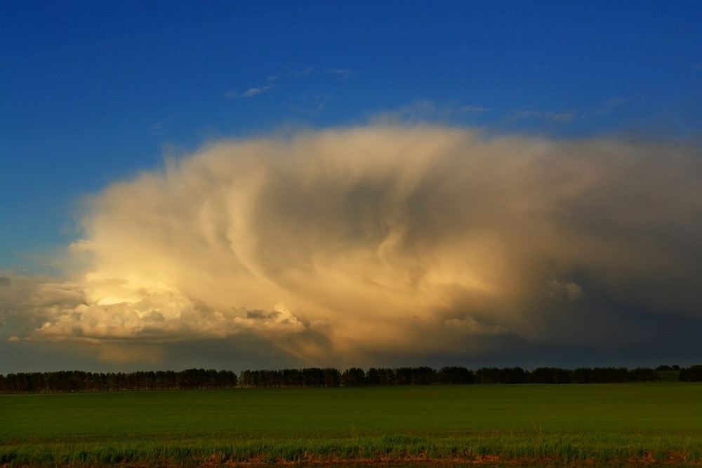 "Nach dem Gewitter"