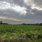 Nach dem Gewitter