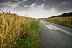 nach dem Gewitter