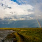 Nach dem Gewitter (1)