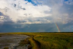 Nach dem Gewitter (1)