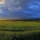 Nach dem Gewitter