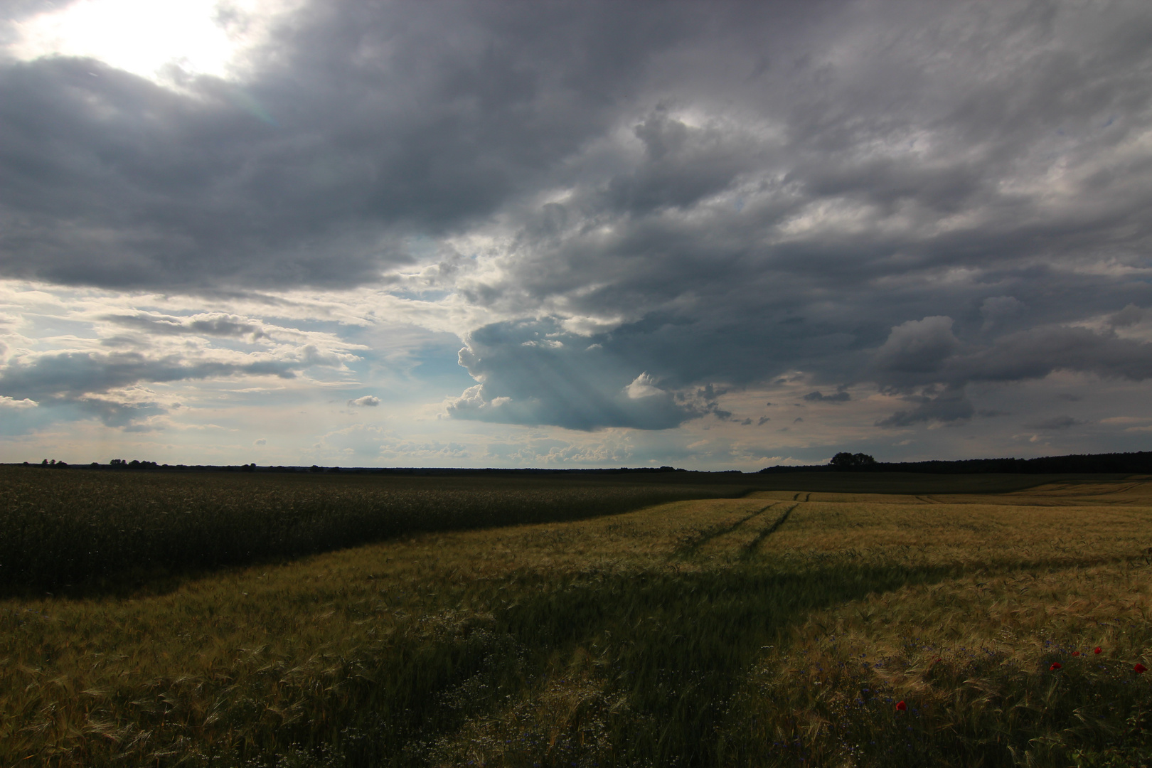 Nach dem Gewitter