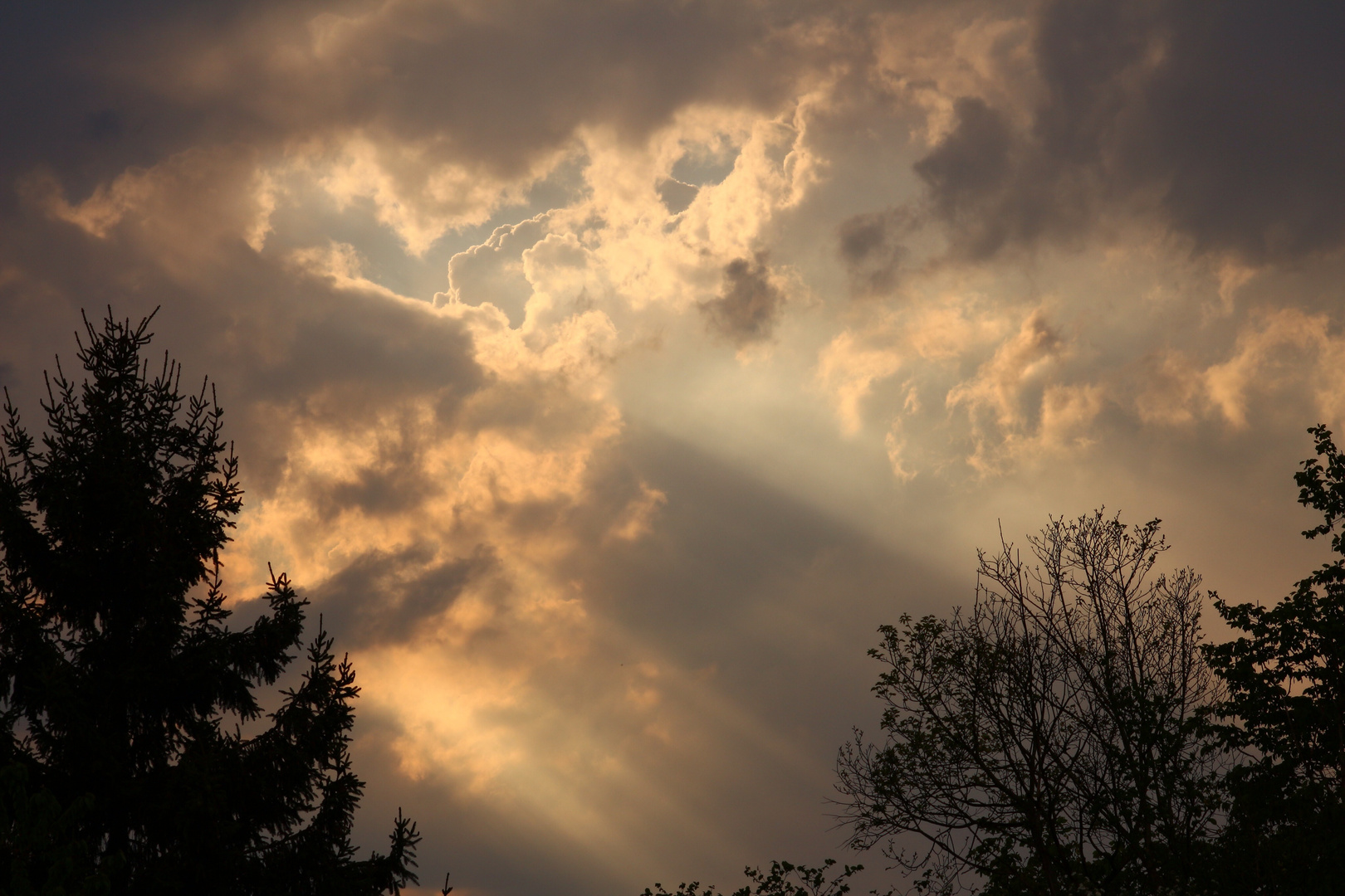 Nach dem Gewitter..