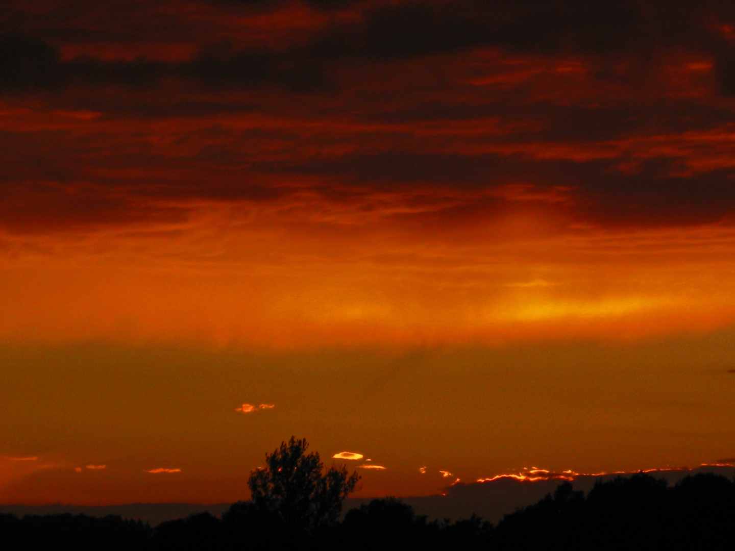 Nach dem Gewitter 2