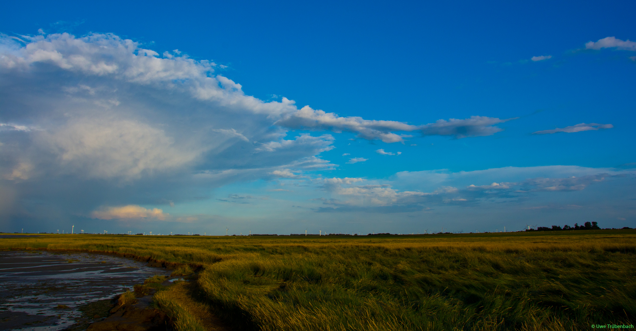 Nach dem Gewitter (2)