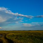 Nach dem Gewitter (2)