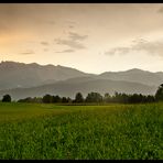 Nach dem Gewitter