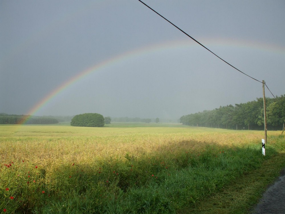 Nach dem Gewitter